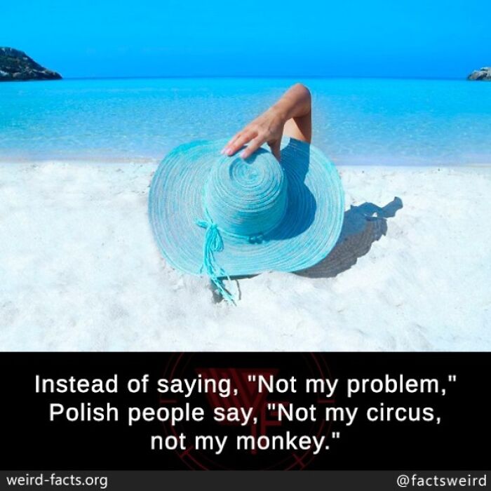 Person on beach holding turquoise hat; text shares a weird fact about a Polish saying.