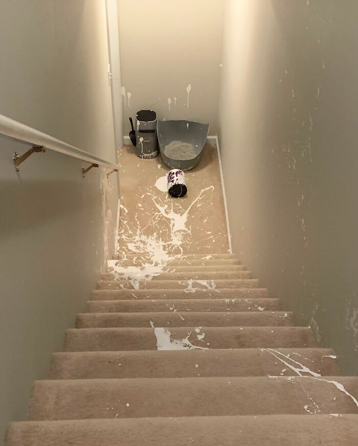 Mi prometido quiso ser considerado y llevar los botes de pintura al sótano. Al final, resultó que intentó llevar muchos a la vez…