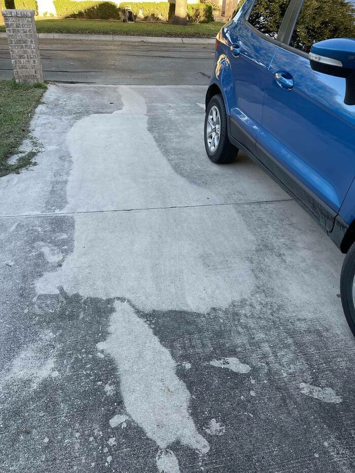 Before-after cleaning pictures of a driveway, showing a clear contrast between cleaned and uncleaned sections.