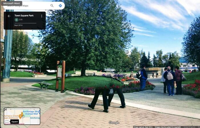 Weird life scene on Google Street View: person appears cut in half in a park with people and trees.
