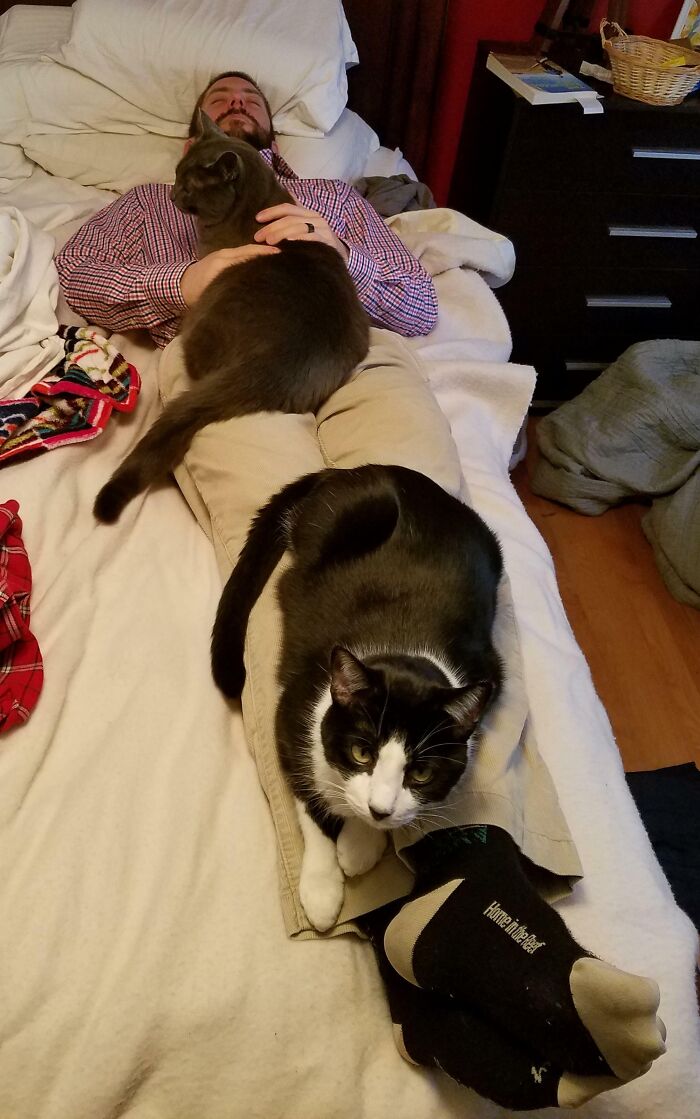 My Husband Was Sick On Thanksgiving. He Took A Break To Rest His Eyes, And Within 2 Minutes This Happened