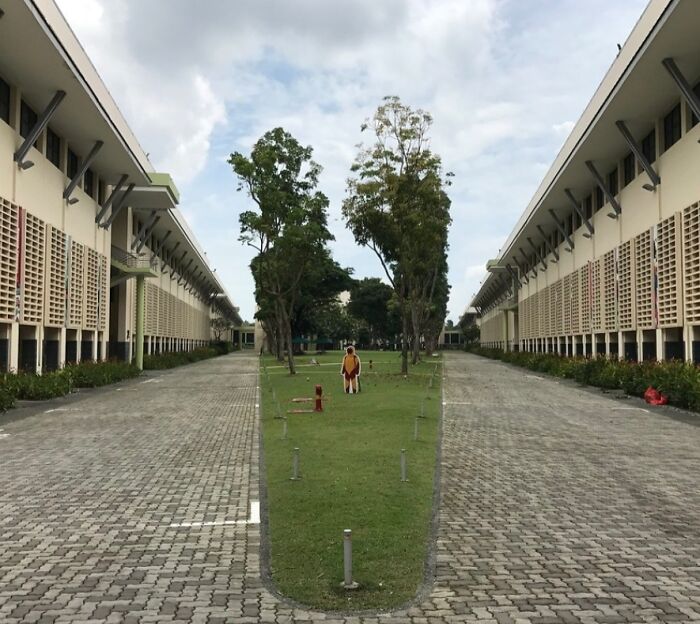 Person standing on a narrow strip of grass between two symmetrical buildings, showcasing interesting photography.