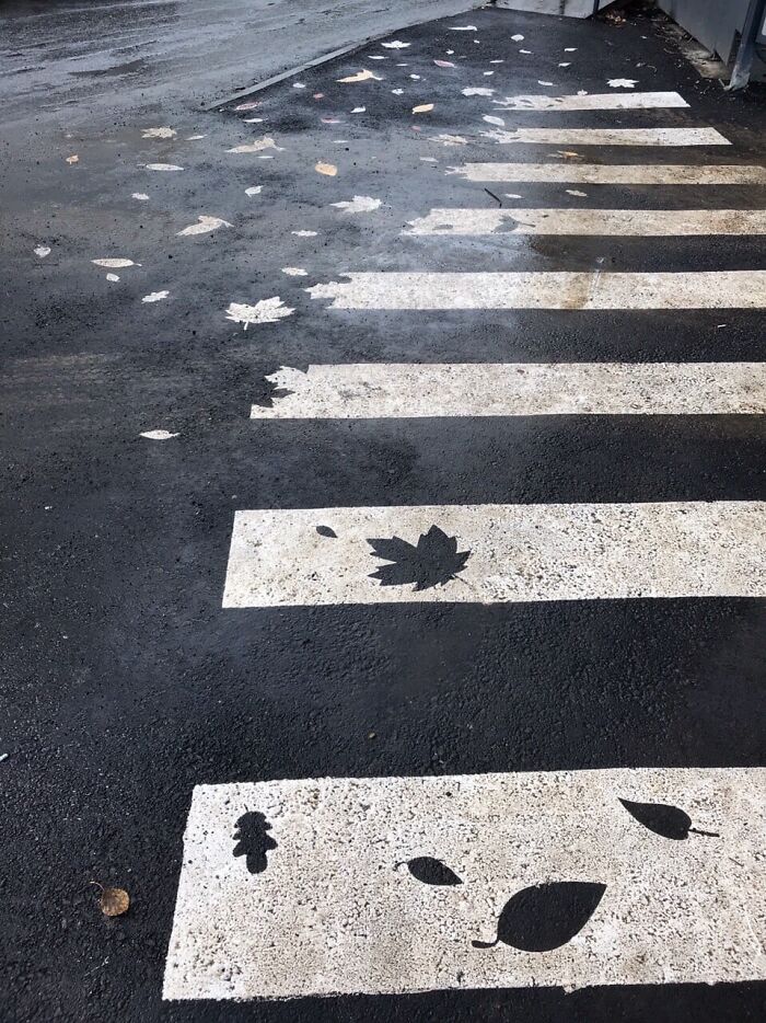 Crosswalk design with stenciled leaves, highlighting creative and effective design solutions.
