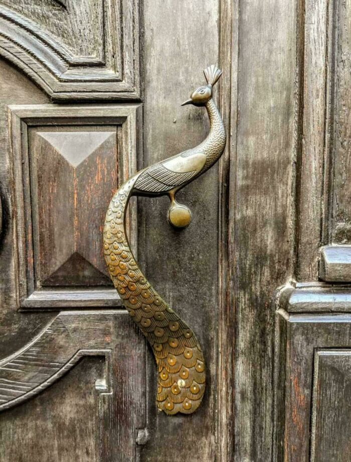 Elegant peacock handle on a wooden door showcasing excellent design craftsmanship.