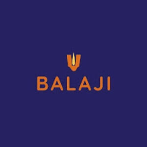Balaji Tour and Travel