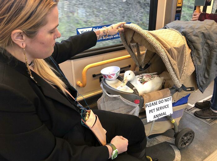 Public transport passenger with a service duck in a stroller on a train, sign reads "Please do not pet service animal."