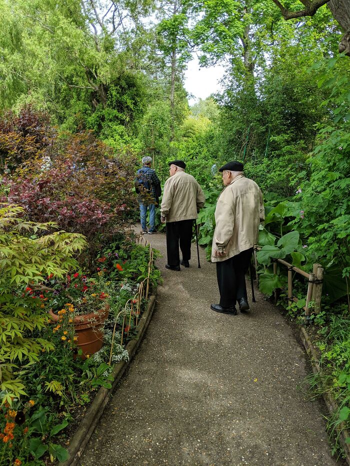 Two men in identical outfits walking through a lush garden, resembling uncanny doppelgangers.