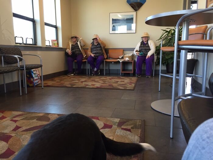 Three identical people in purple pants and hats sit in a waiting room, resembling uncanny doppelgangers.