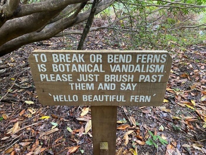 Sign warning against botanical vandalism, urging people to gently pass ferns and greet them instead.