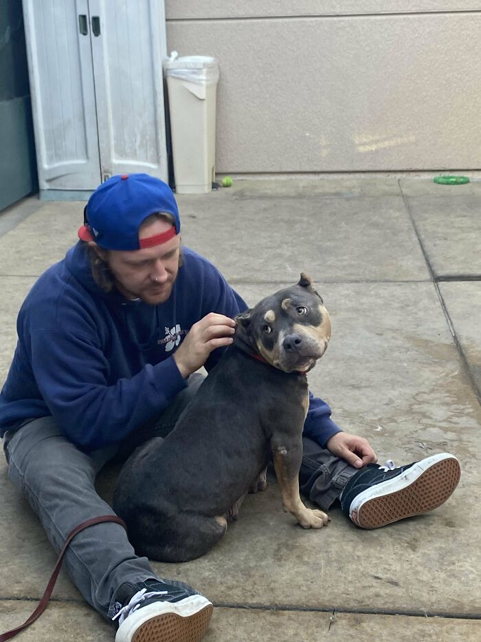 A proud pet owner sitting on concrete, lovingly petting their newly adopted dog.