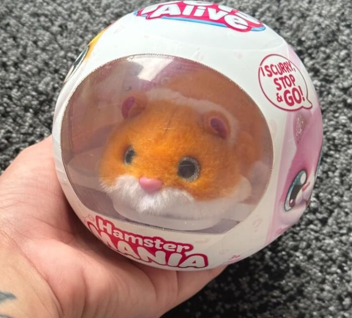 This Electric Hamster Toy Will Have Your Kids (And Maybe Even Your Cat) Chasing It Around The House For Hours! It's The Perfect Way To Burn Off Some Energy
