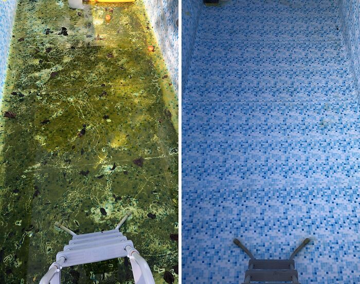 Before-after cleaning pictures of a pool with a dirty and clean side, showing transformation.