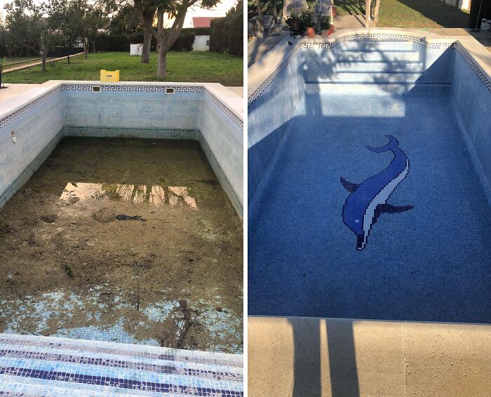 Before-after-cleaning-pictures of a pool, showing transformation from dirty to clean with a dolphin mosaic.