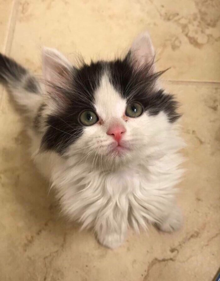 Finally, Not Alone For Thanksgiving