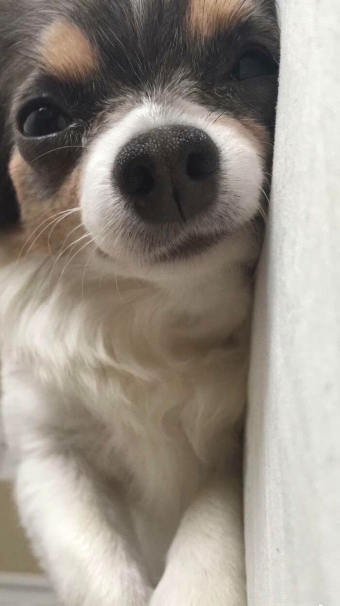 Me desperté y vi esto delante de mi cara