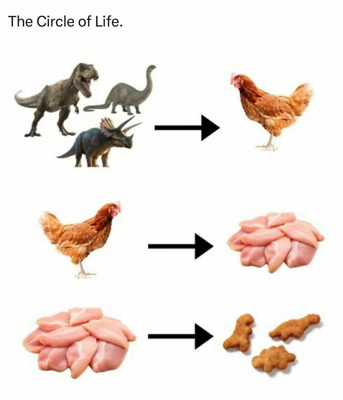 Dinosaurs evolving into chicken nuggets humor meme celebrating the male mind.
