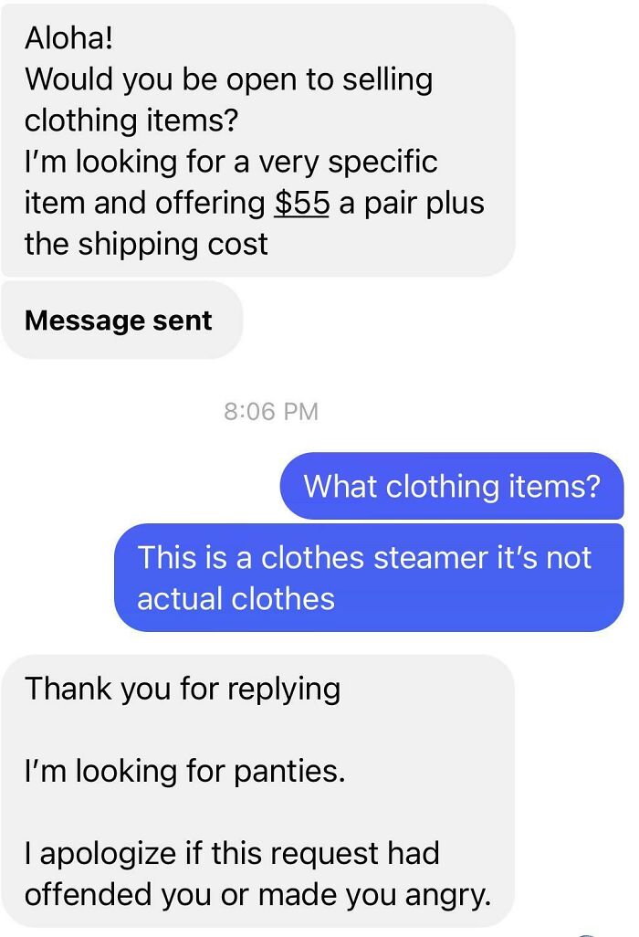 All I Did Was List A Clothing Steamer On FB Marketplace 