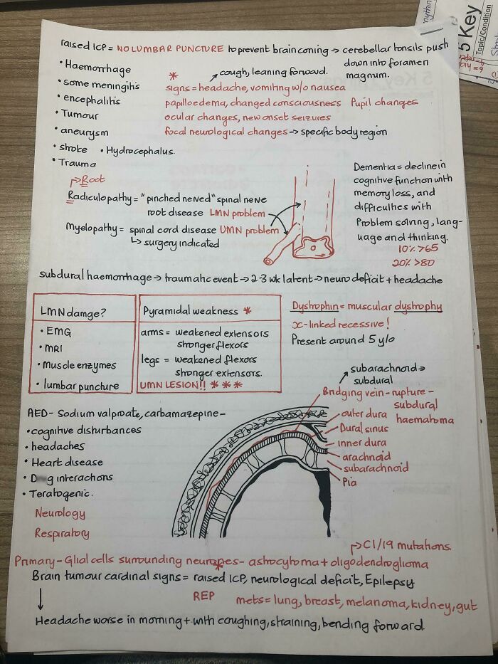Neat handwriting with medical notes and brain diagram, showcasing potential gold-winning handwriting skills.