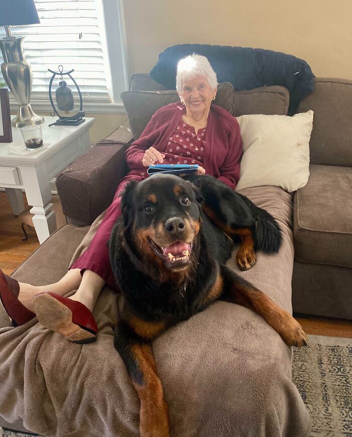 Smiling woman with a dog on the couch, capturing wholesome Thanksgiving moments.