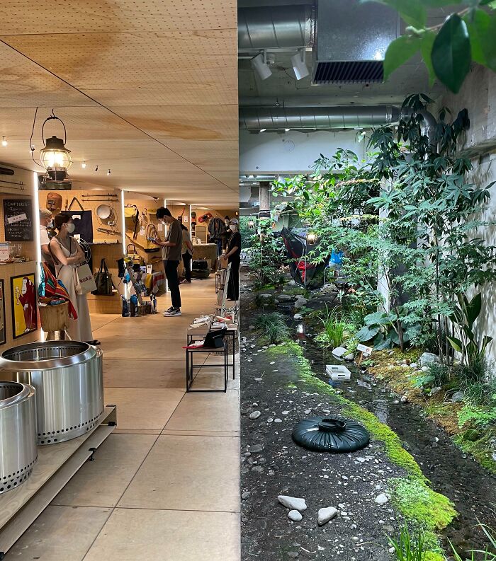 Indoor setting transforming from shop to rainforest, showcasing interesting, not photoshopped contrast.
