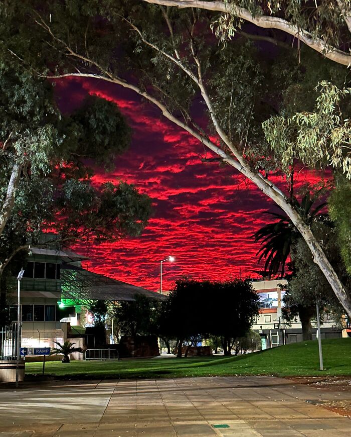 Vibrant red sky over an urban park, creating an interesting scene of not photoshopped photos.