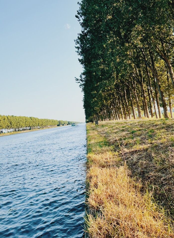 A perfectly straight line divides a river and a forest, creating an interesting, unaltered visual contrast.