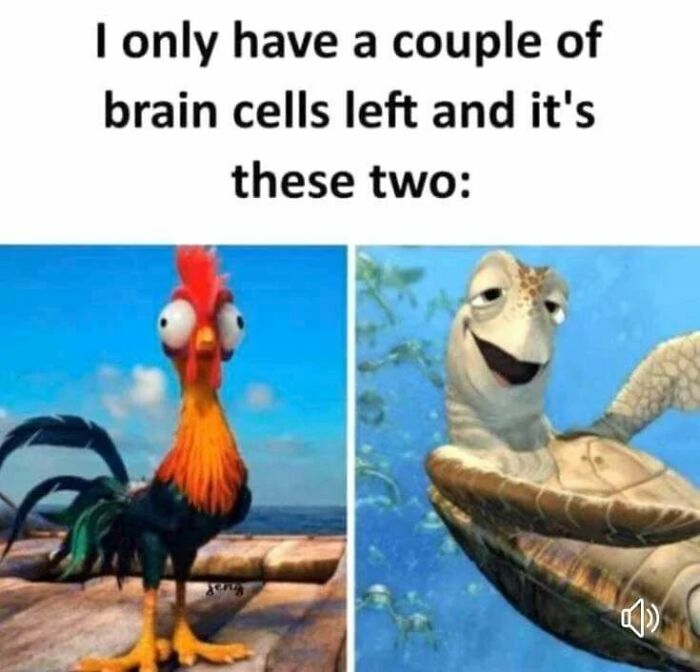 Meme showing cartoon rooster and turtle with caption about having only two brain cells left, relatable memes for a laugh.