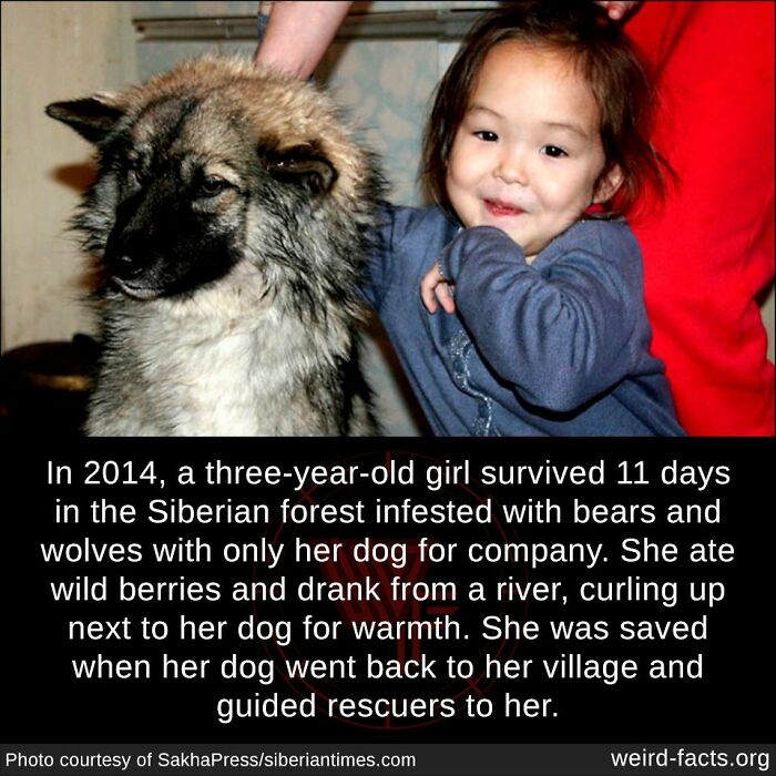 A young girl in blue with her dog, representing weird facts about survival in the Siberian forest.