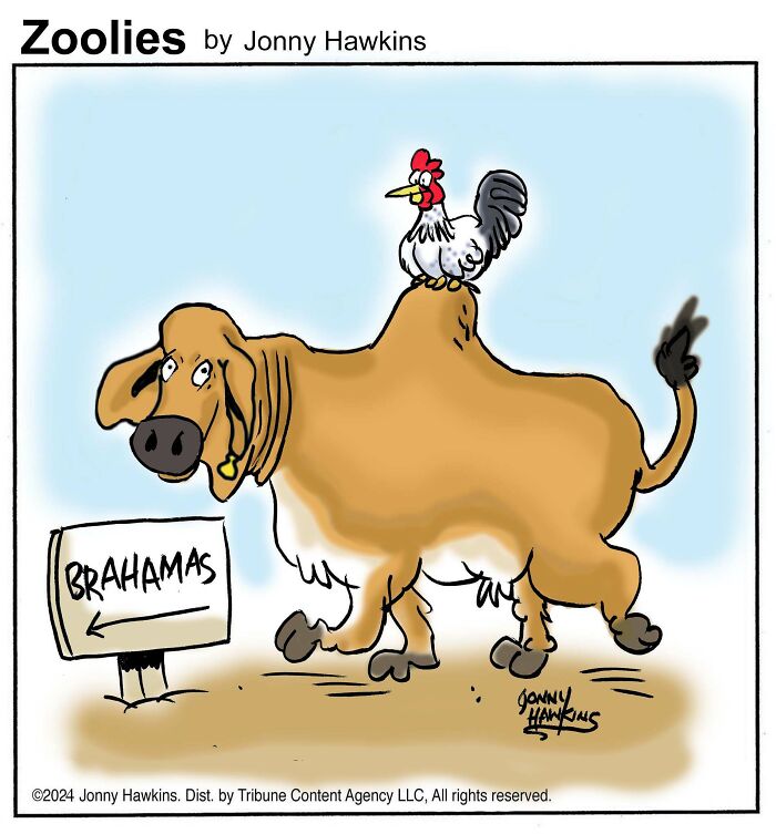 Paws And Punchlines: Jonathan Ray Hawkins’ One-Panel Dog Comics Delight Fans