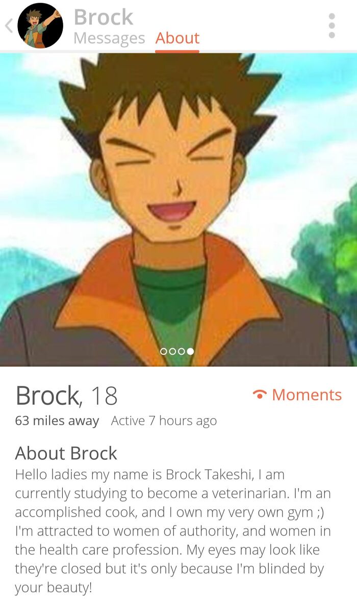 Even Gym Leaders Are On Tinder.. (X-Post From /R/Tinder)