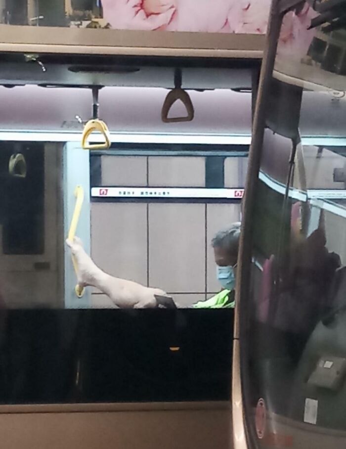 Passenger on public transport with feet up, causing discomfort to others.