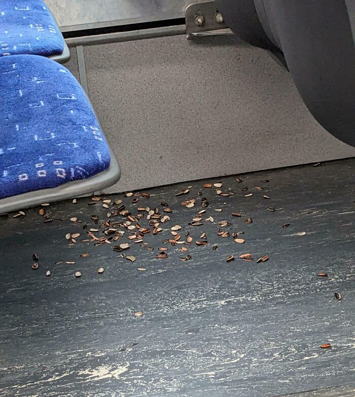 Sunflower seed shells scattered on the floor of a public transport vehicle under blue seats.