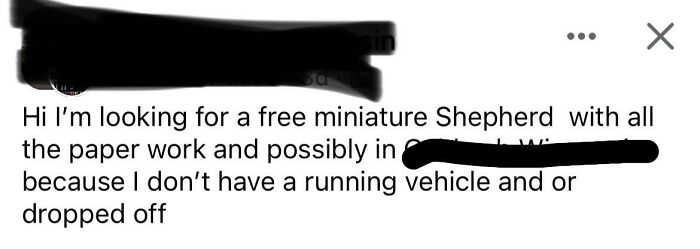 Local Pet Sales Group