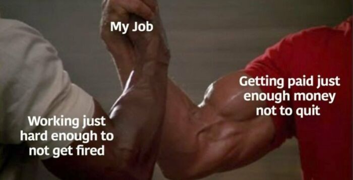 Two muscular arms with text: "My Job," "Working just hard enough," "Getting paid just enough." Spot-on meme humor.
