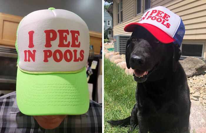 This I Pee In Pools Hat Is The Perfect Way To Announce To The World That You're A Rebel Without A Cause (Or Maybe Just A Rebel Without Bladder Control)