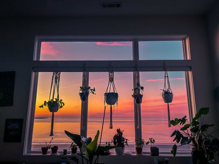 Indoor garden plants in hanging pots silhouetted against a vibrant sunset through a large window.