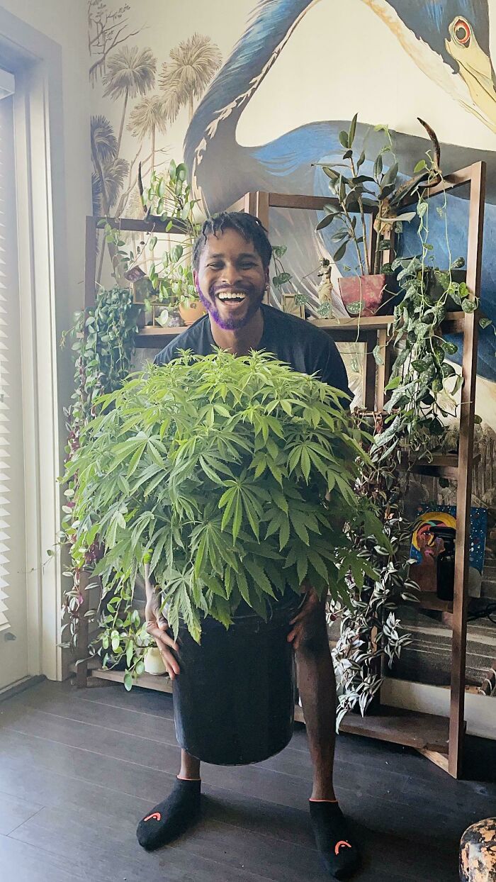 Man smiling while holding a large indoor garden plant in a pot, surrounded by other houseplants.