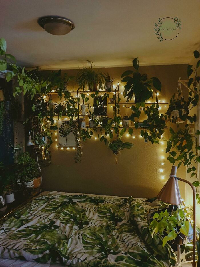 Indoor garden with plants and string lights above a bed in a cozy room.
