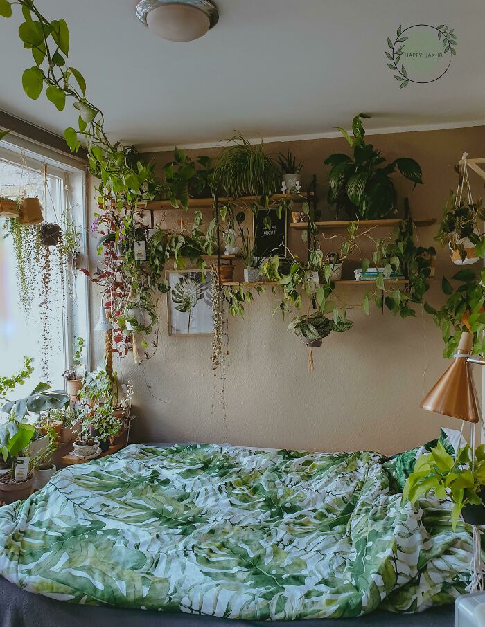 Indoor garden plants in a cozy bedroom, with shelves and windowsill filled with lush greenery and a matching leaf-patterned bedspread.