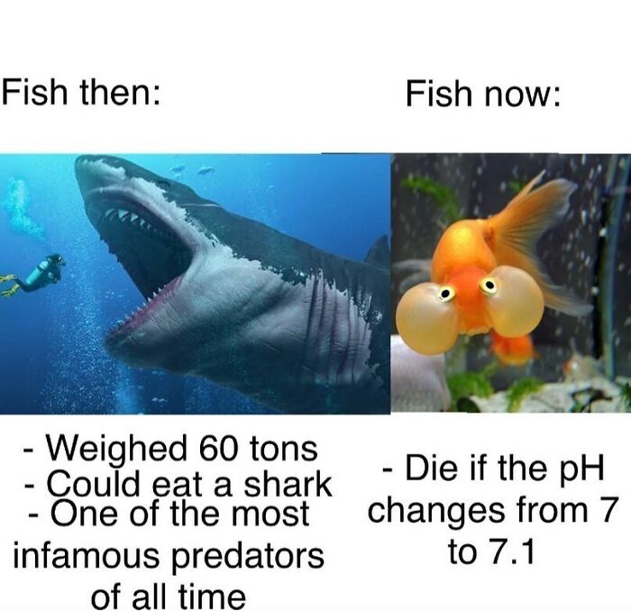 Hilarious-History-Memes-Jokes