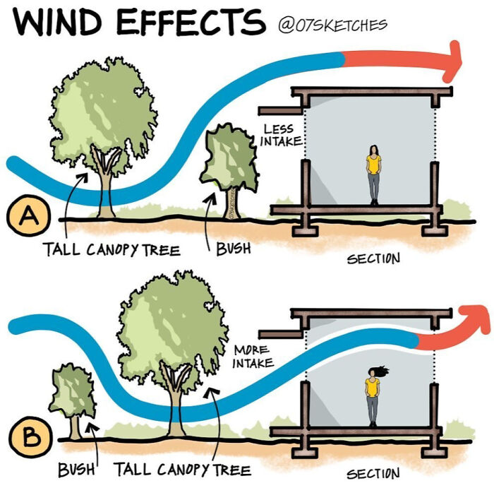 Illustration showing wind effects on airflow intake with tall canopy trees and bushes in two different sections.