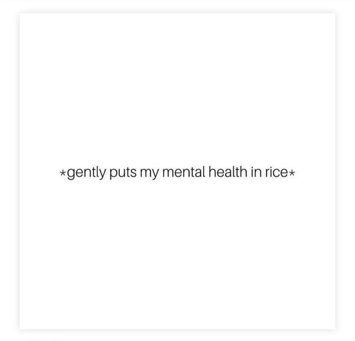 Text meme saying "*gently puts my mental health in rice*" on a white background.