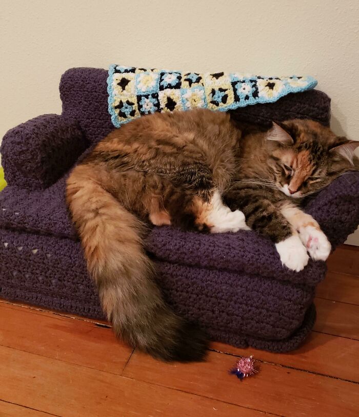 Cat sleeping on a crocheted cat-sized couch with a colorful blanket, emphasizing amazing mothers-in-law creativity.