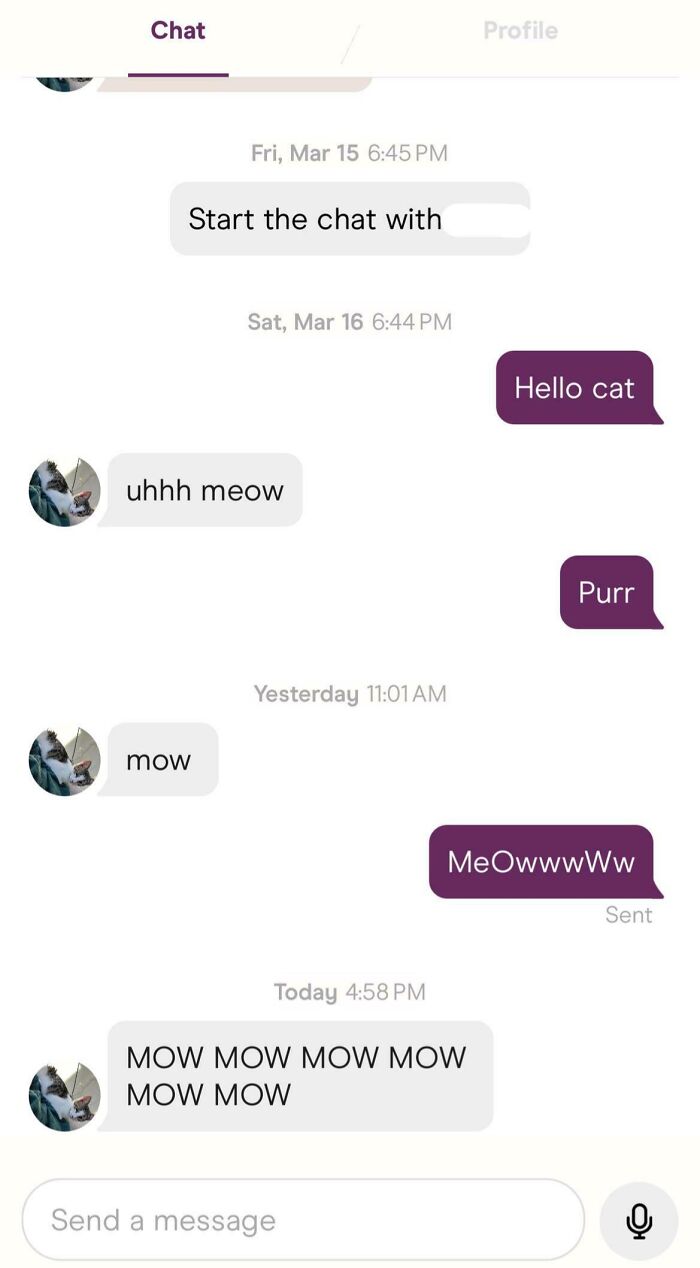 Chat thread featuring a humorous Tinder post exchange about cat noises.