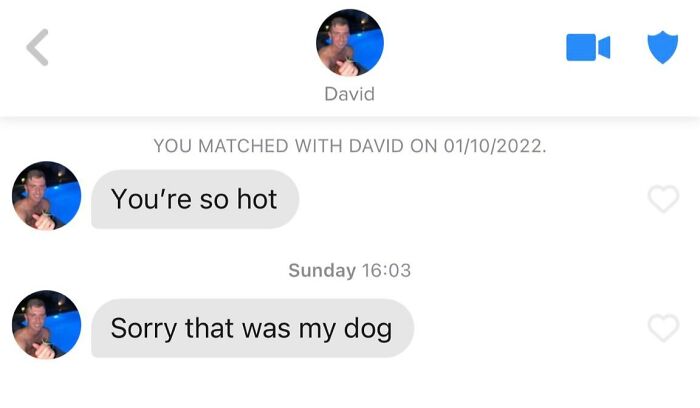 Humorous Tinder post with a playful chat, where the user blames their dog's actions for a compliment.