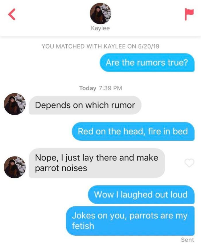 Funny Tinder chat about parrot noises, showcasing humorous-Tinder-posts.