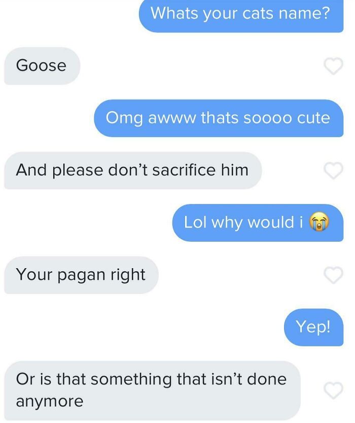 Humorous Tinder post about a cat named Goose and a pagan joke.