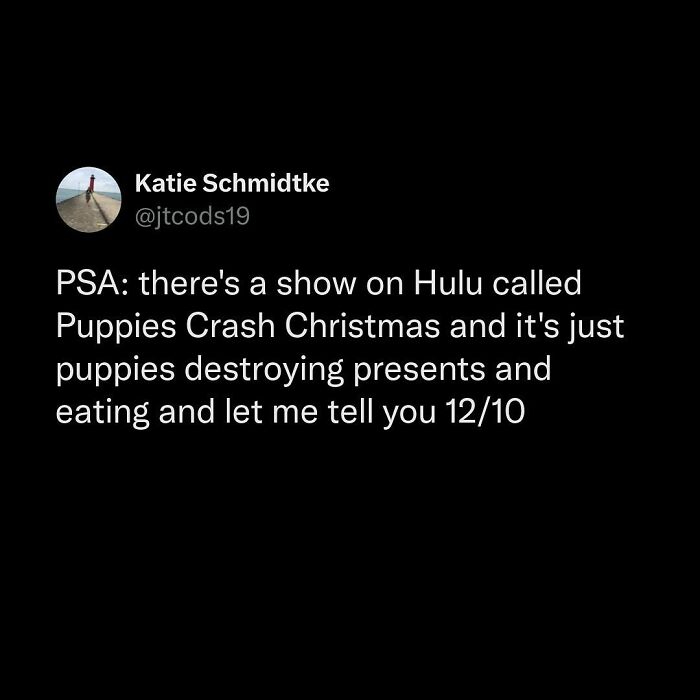 Tweet about a Hulu show called Puppies Crash Christmas, featuring puppies causing chaos and being adorable.