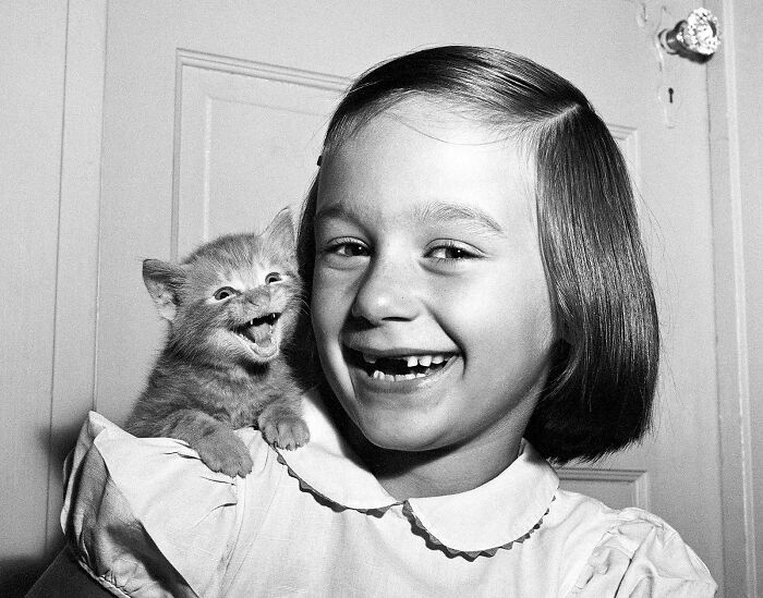 A vintage photo of a young girl smiling with a kitten, highlighting pets as family.