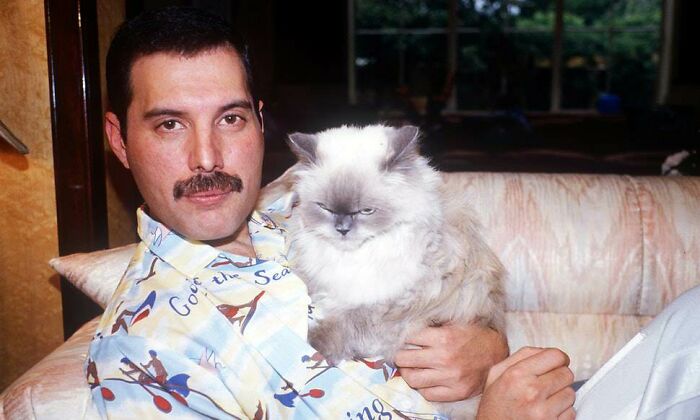 A man with a mustache, wearing a patterned shirt, sits on a sofa with a fluffy cat, showcasing pets as family in vintage style.